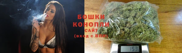молекула духа Зерноград