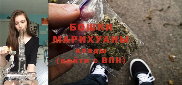 прущие грибы Инсар