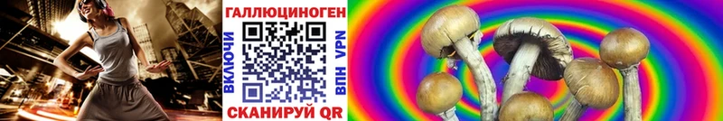 Галлюциногенные грибы GOLDEN TEACHER Купить Сасово